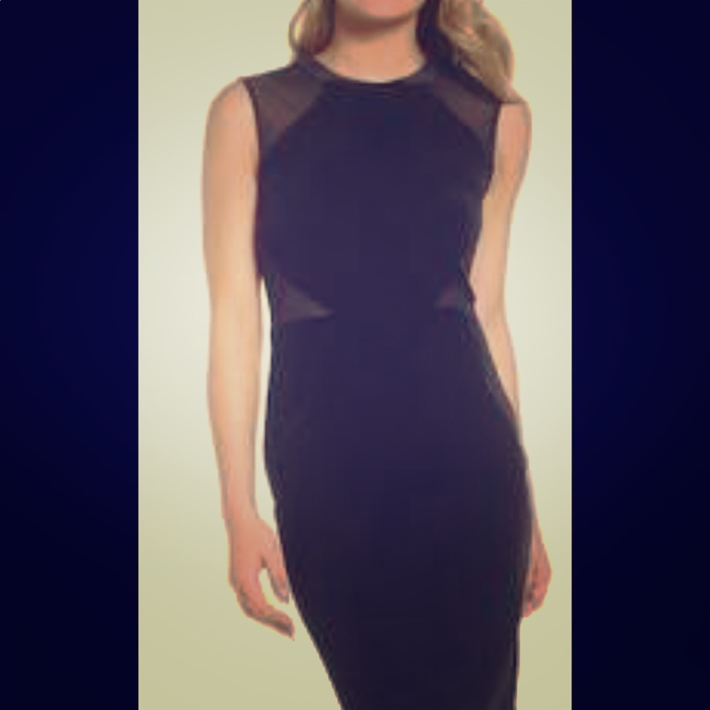 NWOT French Connection Velvet Dress (revolve)